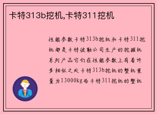 卡特313b挖机,卡特311挖机